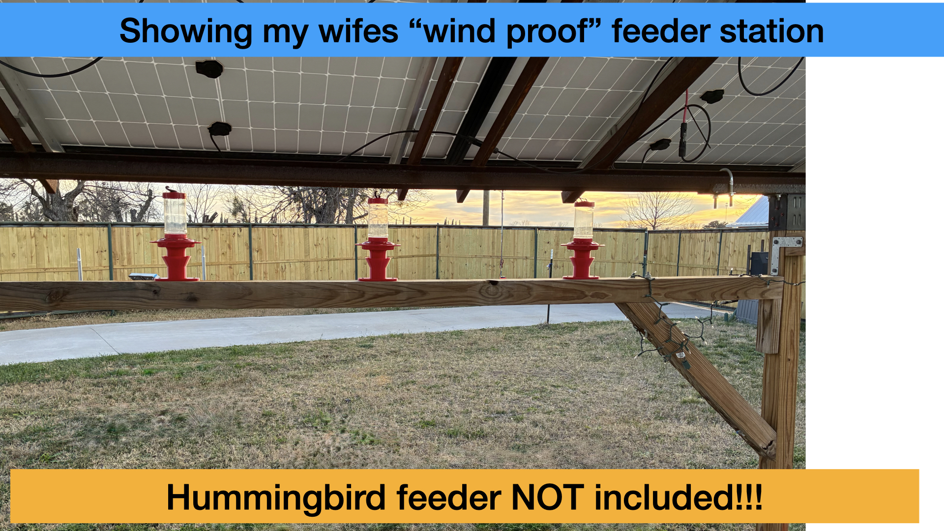 hummingbird feeder holder for windproofing first nature nectar feeders - 3 pack view