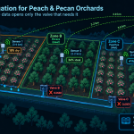 Optimizing water usage in peach and pecan orchards using LoRaWAN