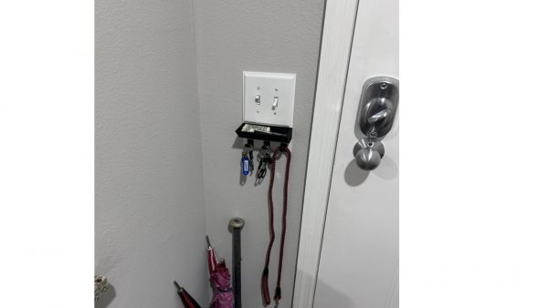 Key Hooks for Wall with Phone Tray - 2 Gang - Showing Usage with Leash